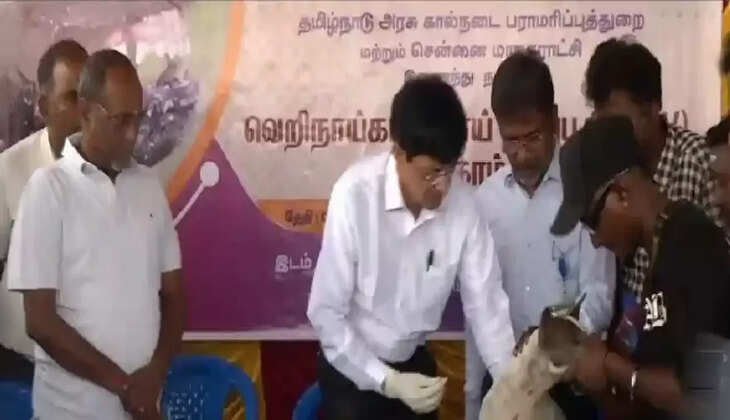 நாய்