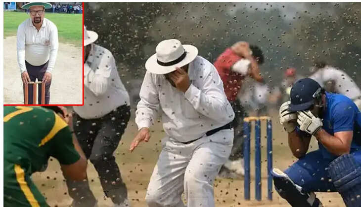 தேனீக்கள்