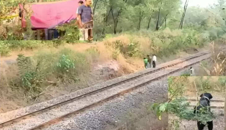 மலப்புரம்