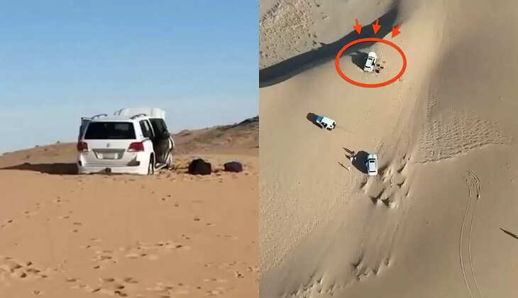 பாலைவனம்