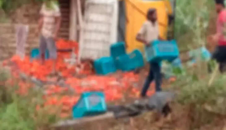 தக்காளி