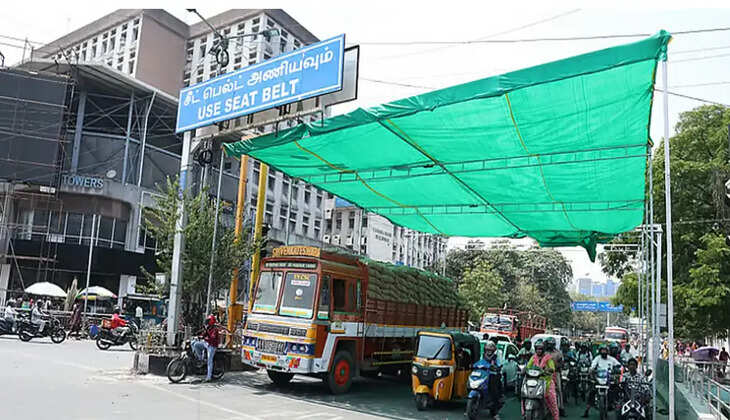 பசுமை பந்தல்