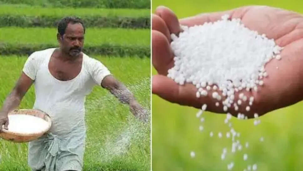 உரம் விவசாயி