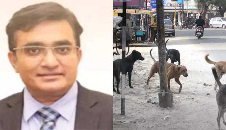 தெருநாய் துரத்தி கோடீஸ்வரர் உயிரிழப்பு