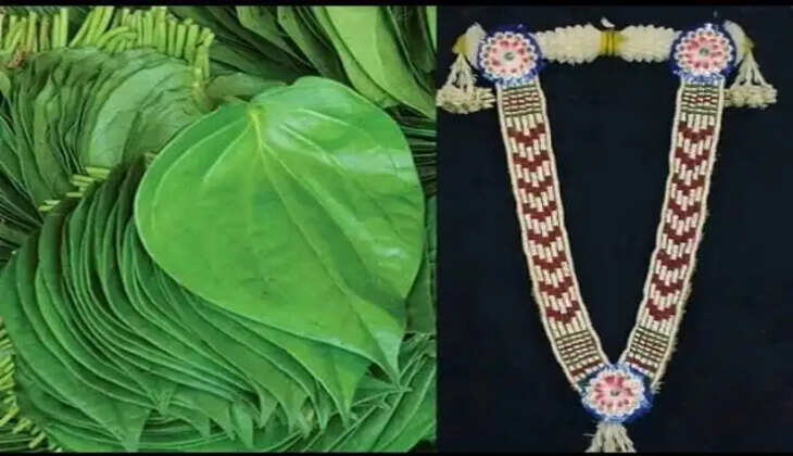 செம... இந்தியாவிலேயே தமிழ்நாடு தான் முதலிடம்... 62 பொருள்களுக்கு புவிசார் குறியீடு !&nbsp;