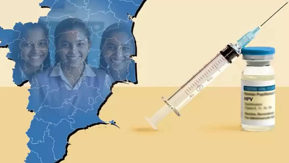 கருப்பை