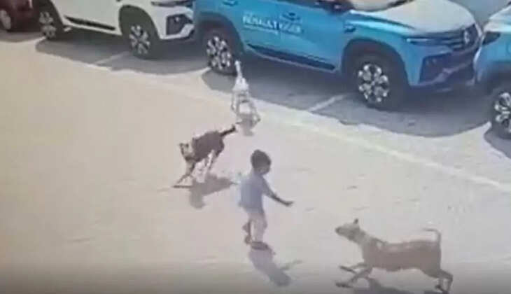 பிரதீப் 