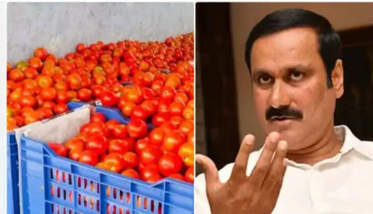 அன்புமணி ராமதாஸ்