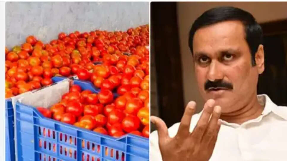 அன்புமணி ராமதாஸ்