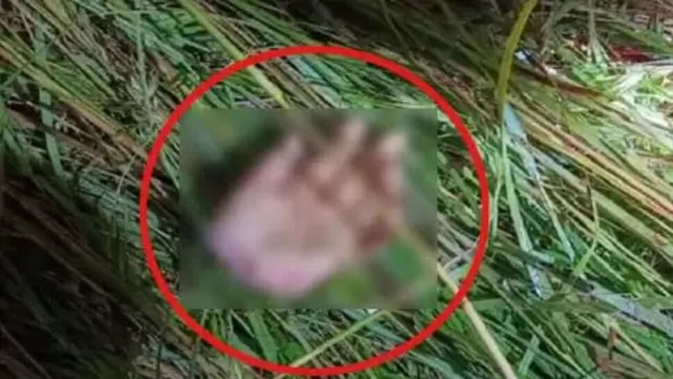 உள்ளங்கை