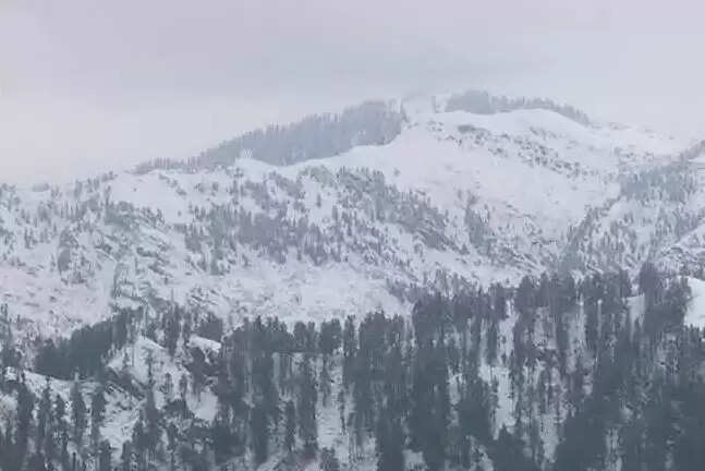 காஷ்மீர்