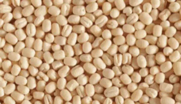 உளுந்து