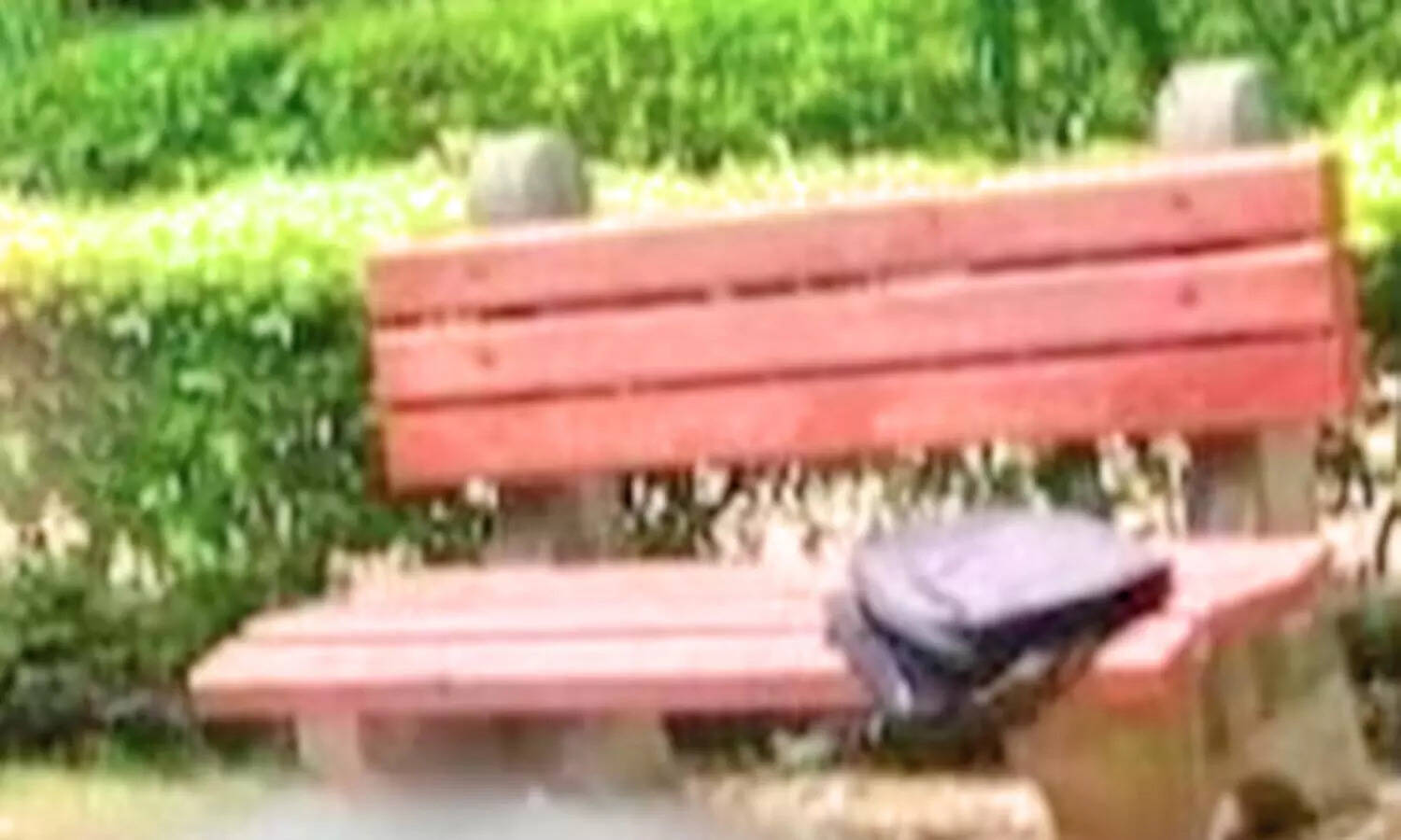 நர்கீஸ்