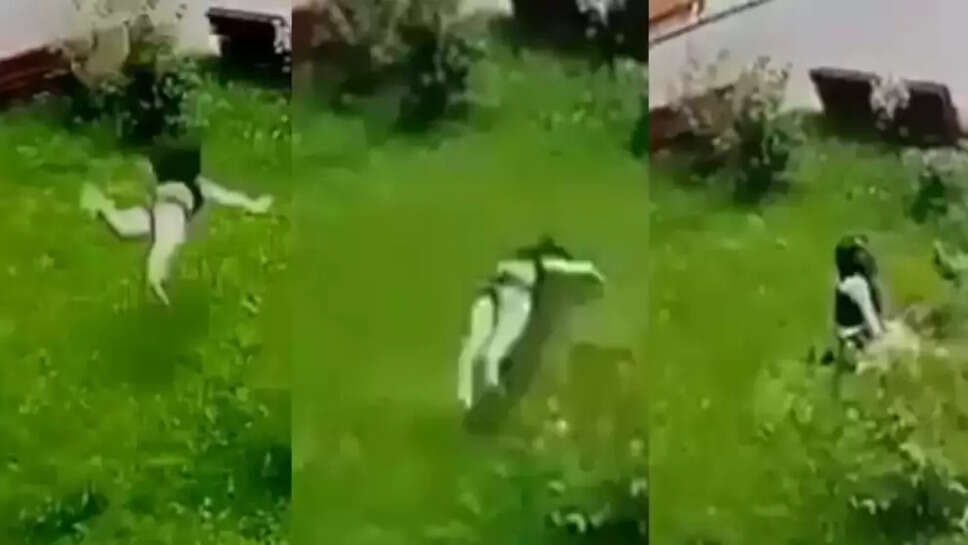 இளம் பெண்