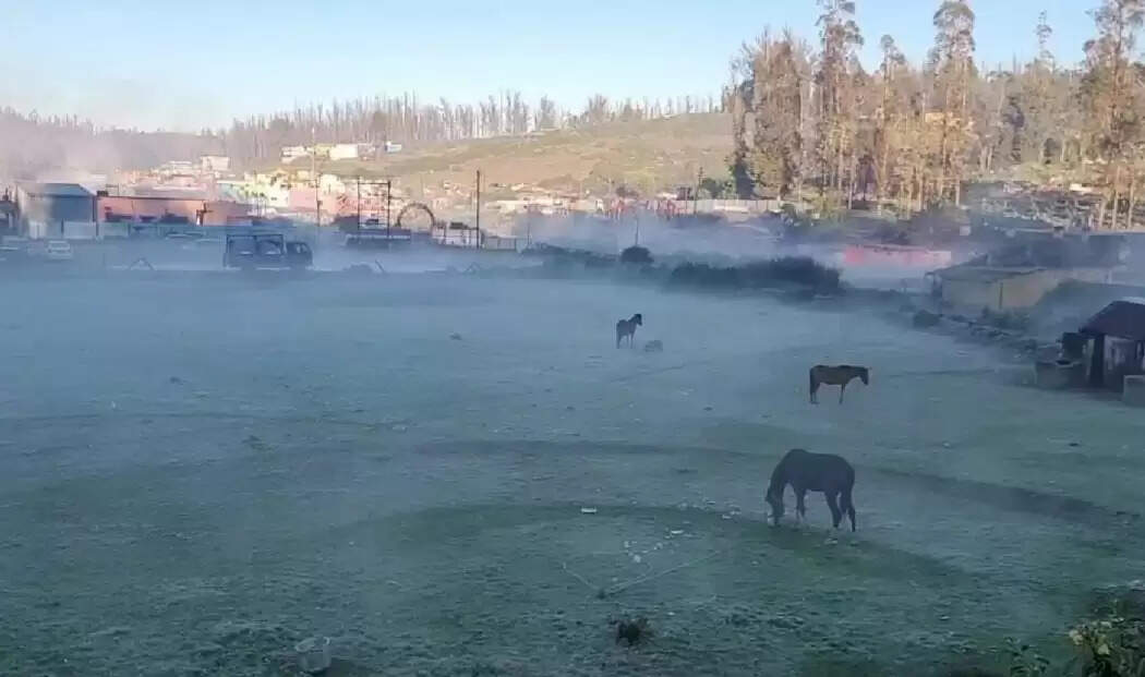 நீலகிரி