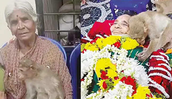 குரங்கு