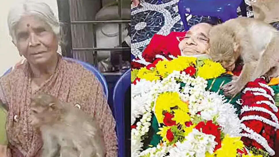 குரங்கு