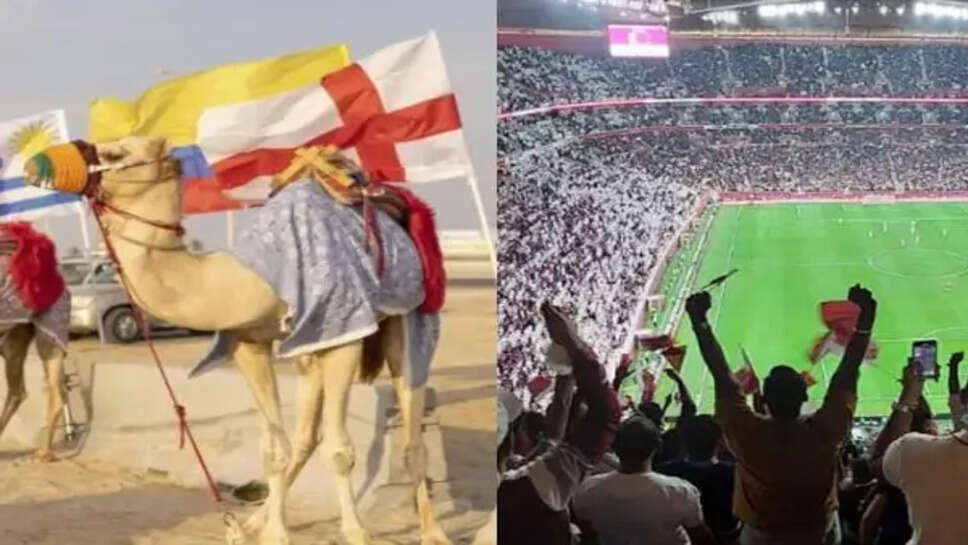 ஒட்டகக்காய்ச்சல்