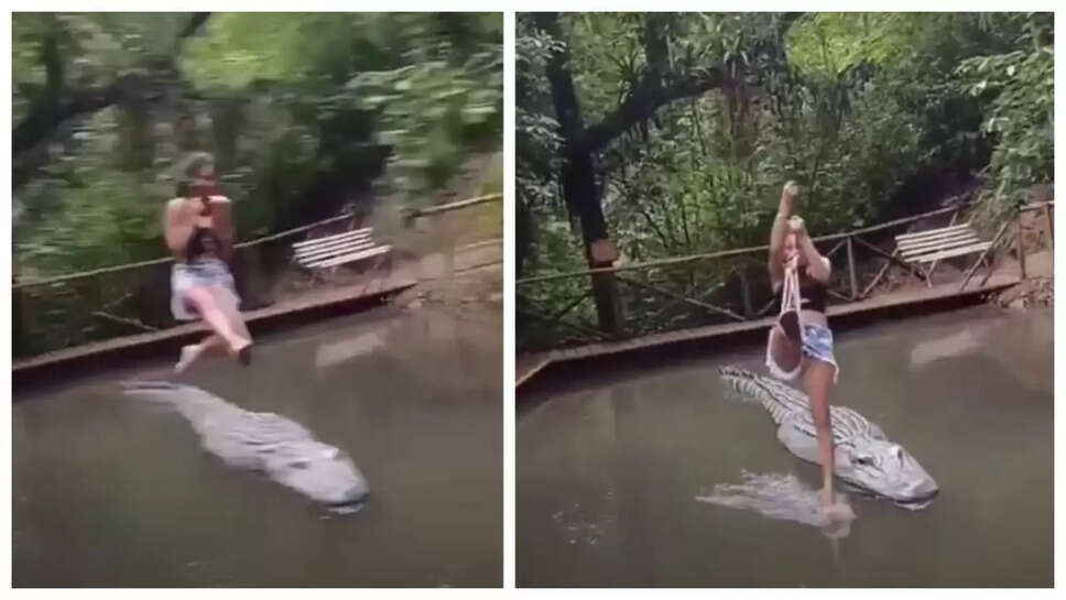 முதலையின் வாய்க்குள் காலை விட முயற்சிக்கும் இளம்பெண்