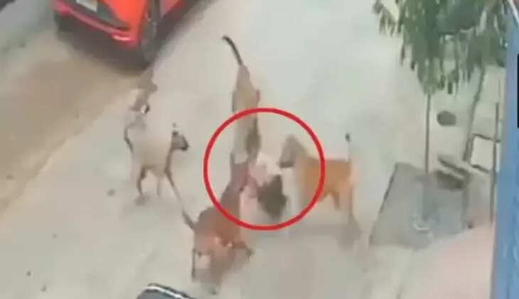 ஐதராபாத் சிறுவன்