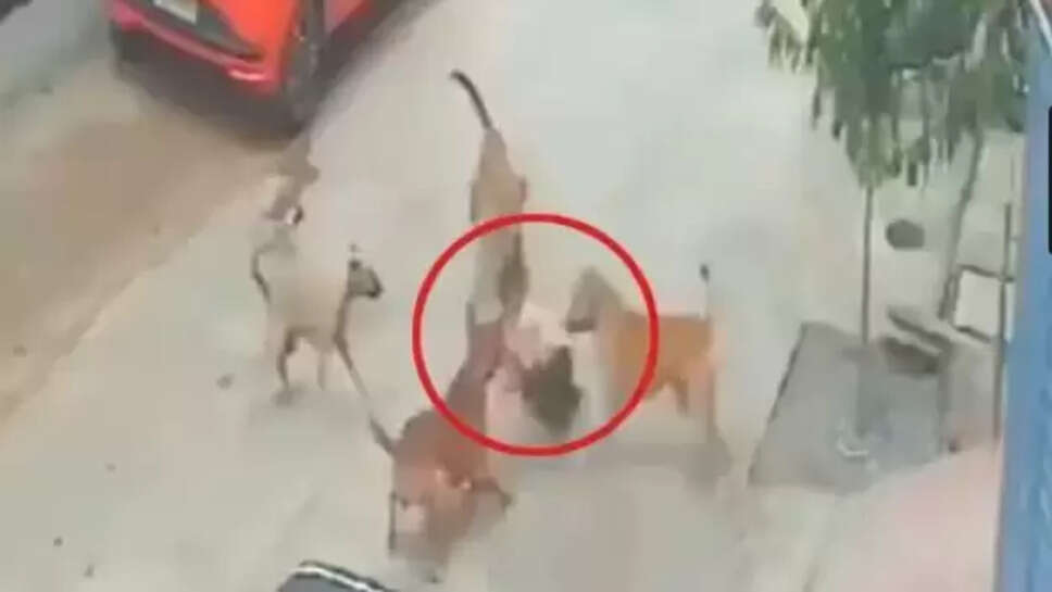 ஐதராபாத் சிறுவன்