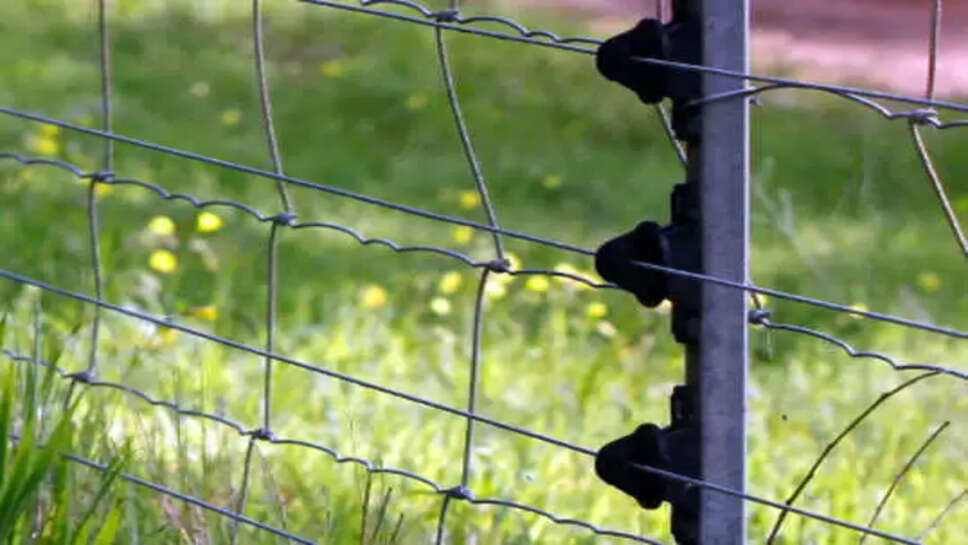 மின்வேலி