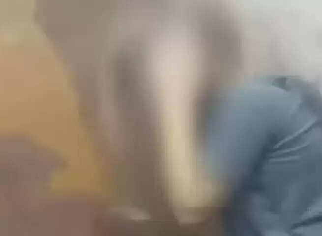 மாணவர்கள் தாக்குதல்