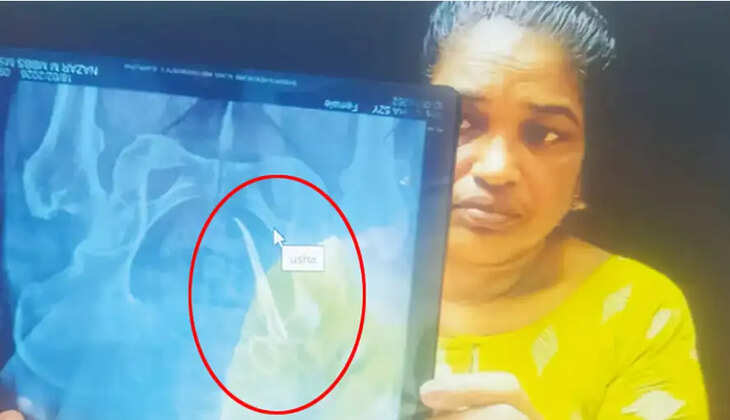 கத்திரி