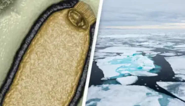 ஜாம்பி வைரஸ்