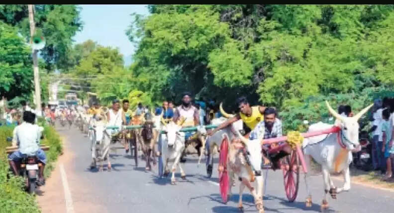 மாட்டு வண்டி பந்தயம்