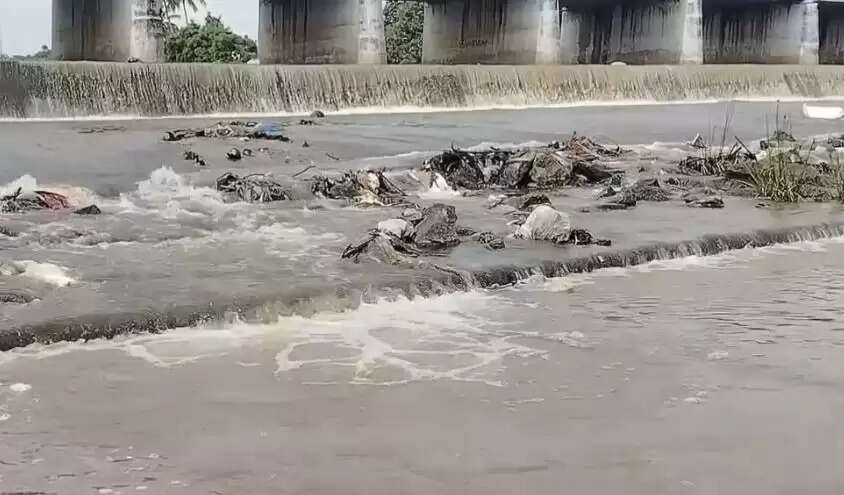 &nbsp;மூல வைகை அணை 