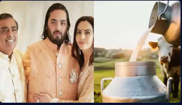 முகேஷ் அம்பானி