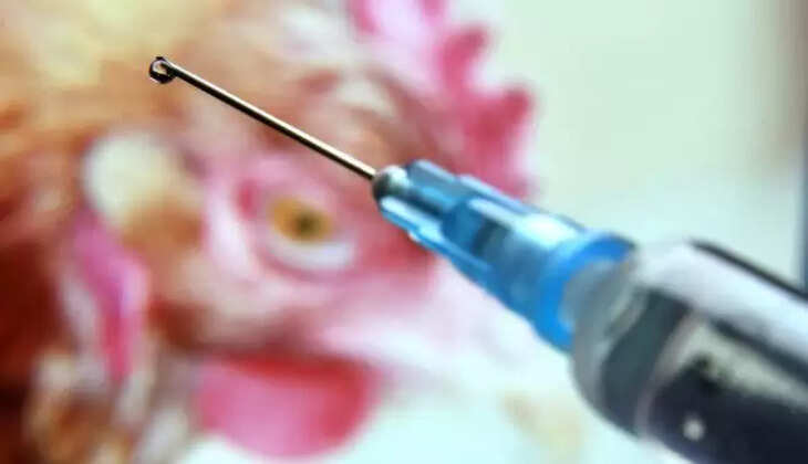 இறைச்சி