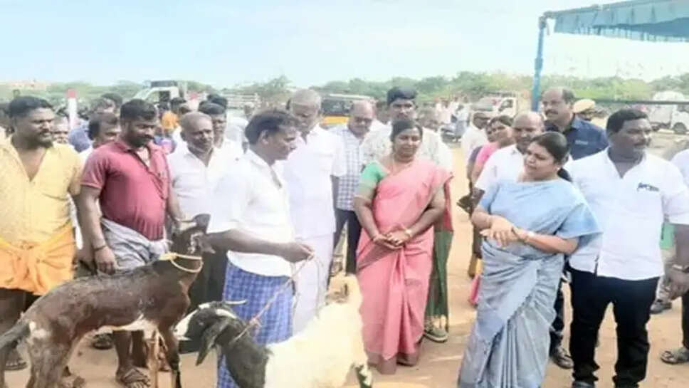 கீதா ஜீவன்
