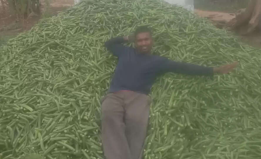 வெண்டைக்காய்