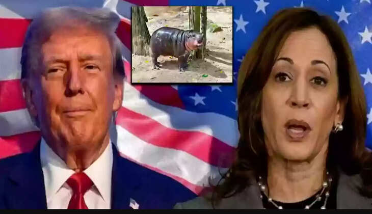 கமலா ஹாரிஸ்