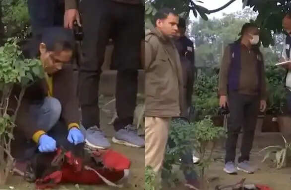 நாடாளுமன்ற தற்கொலை முயற்சி