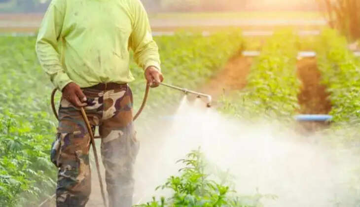 பூச்சிக்கொல்லி மருந்து