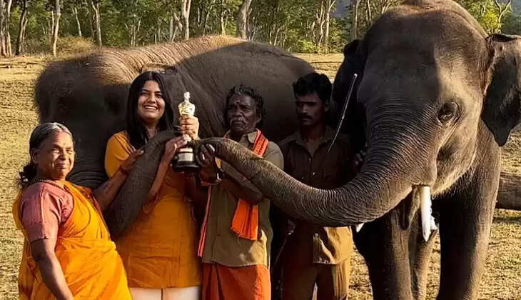 பொம்மன் பெள்ளி