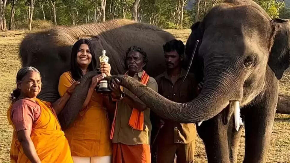 பொம்மன் பெள்ளி