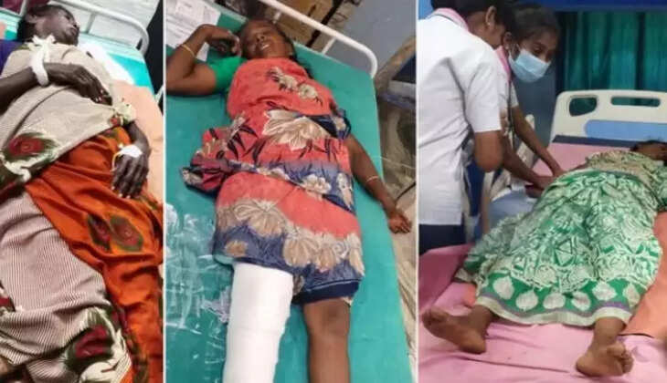 பெண்கள் உட்பட 15பேர் காயம்