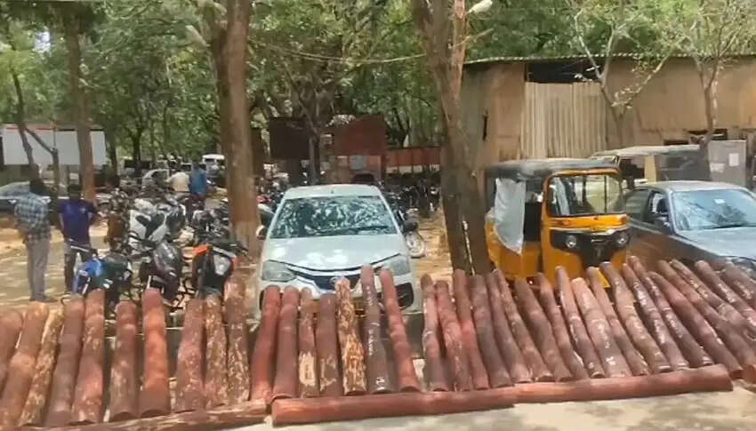 செம்மரம் கடத்திய தமிழர்கள் கைது