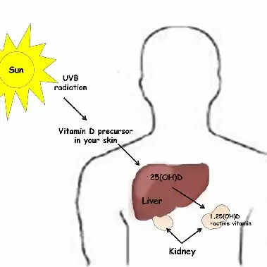 வைட்டமின் டி சூரிய வெளிச்சம்
