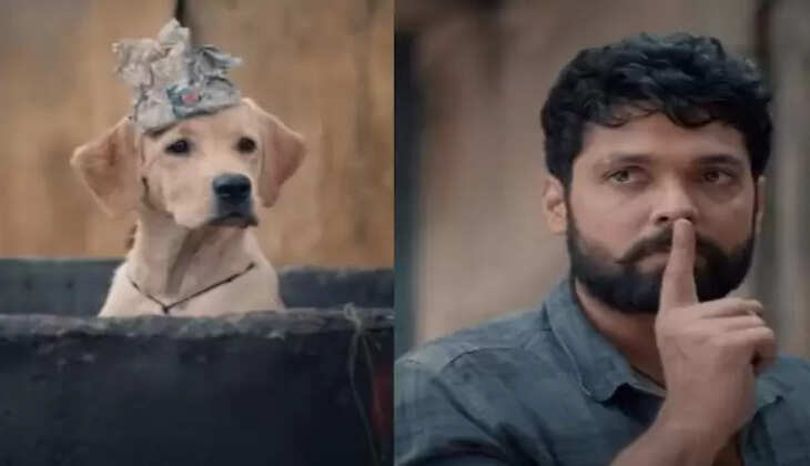 சார்லி777