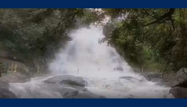 குரங்கு அருவி