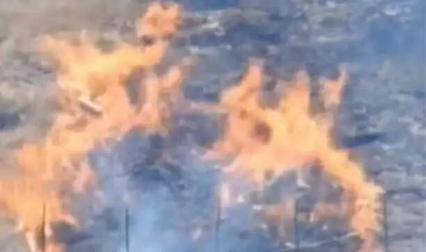 கொடைக்கானல் தீ