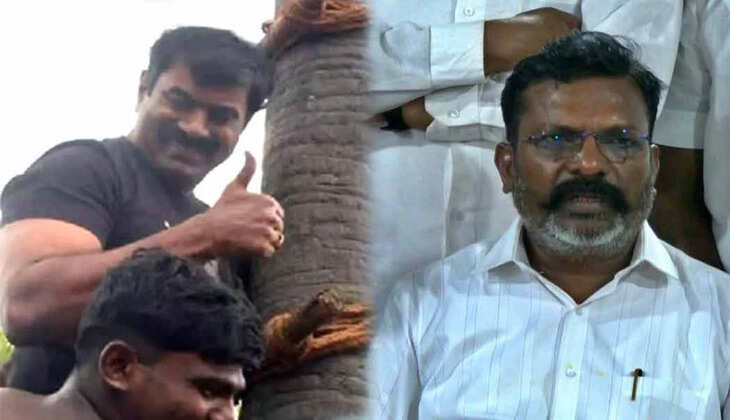 திருமா சீமான்