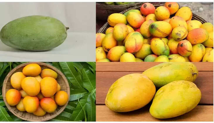 மாம்பழம்