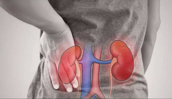 சிறுநீரகம்