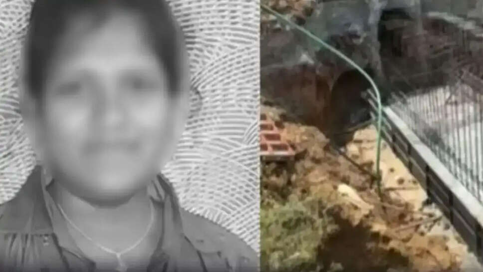 பள்ளத்தில் காவியா